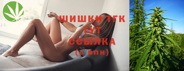 PSILOCYBIN Алексеевка