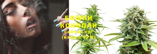 PSILOCYBIN Алексеевка