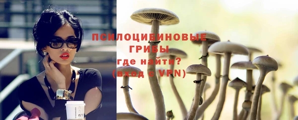 тгк Алзамай
