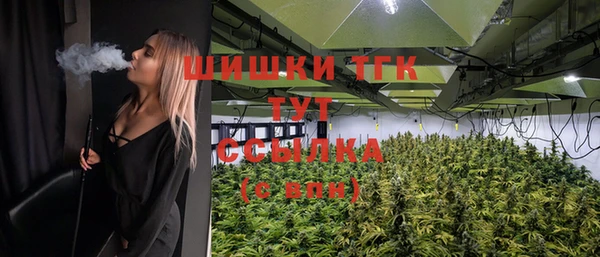 PSILOCYBIN Алексеевка