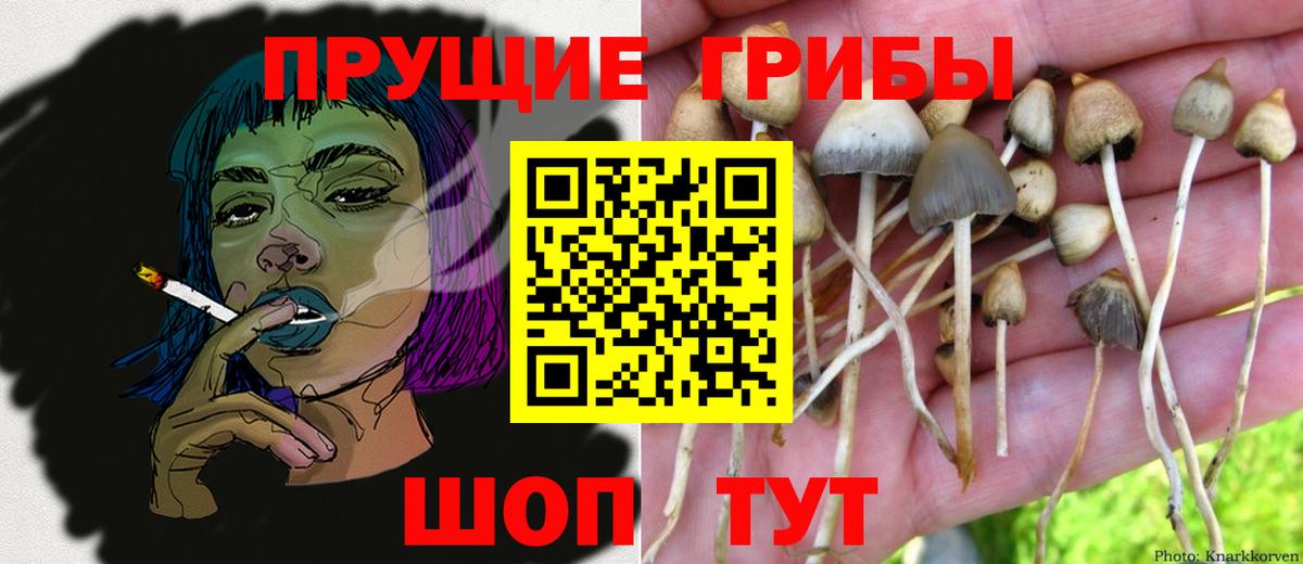 Галлюциногенные грибы ЛСД Коряжма