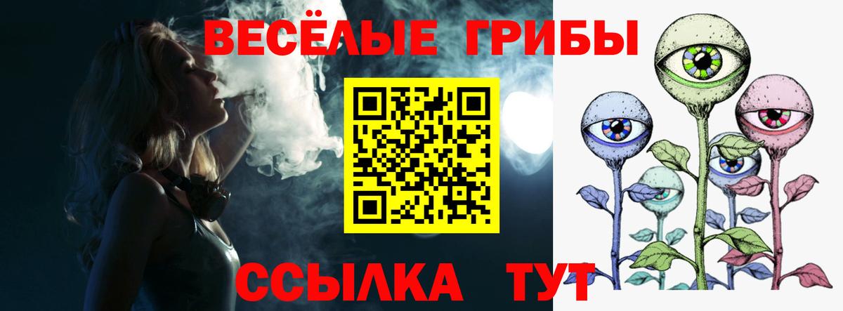 Коряжма  Псилоцибиновые грибы ЛСД  Вход с VPN 
